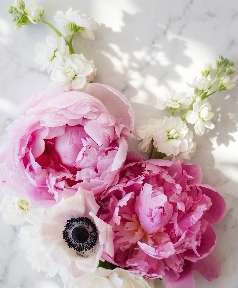 Pink peonies and white blossoms on a marble surface